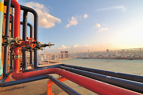 ����˹(886699-WNS��֤)���޹�˾����