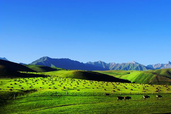 ����˹(886699-WNS��֤)���޹�˾����