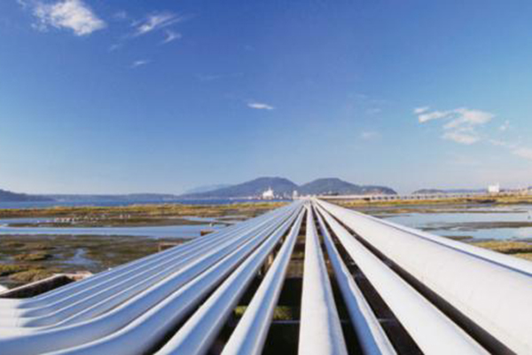 ����˹(886699-WNS��֤)���޹�˾����