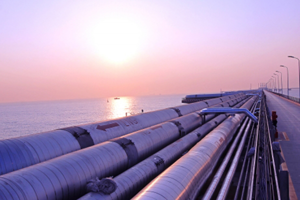 ����˹(886699-WNS��֤)���޹�˾����