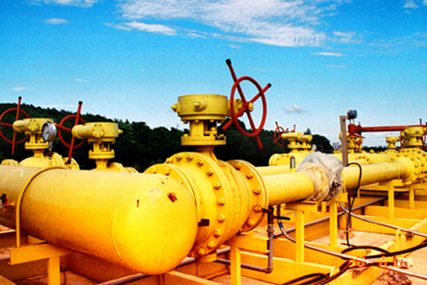 ����˹(886699-WNS��֤)���޹�˾����