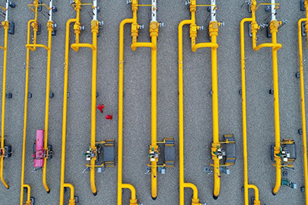 ����˹(886699-WNS��֤)���޹�˾����