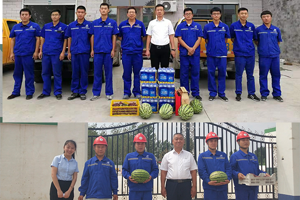 ����˹(886699-WNS��֤)���޹�˾����