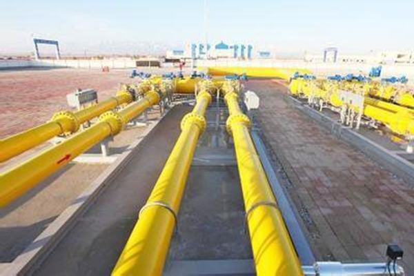 ����˹(886699-WNS��֤)���޹�˾����