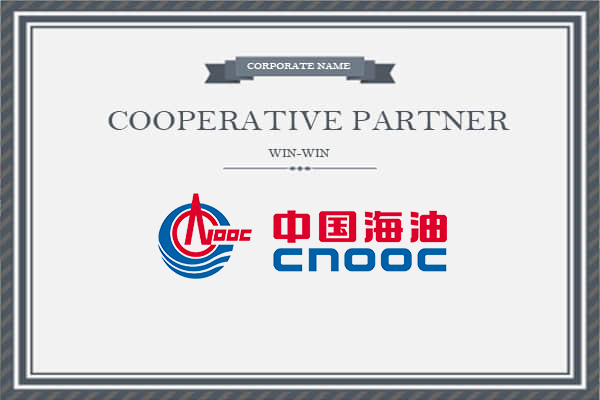 �й�����ʯ�ͼ������޹�˾