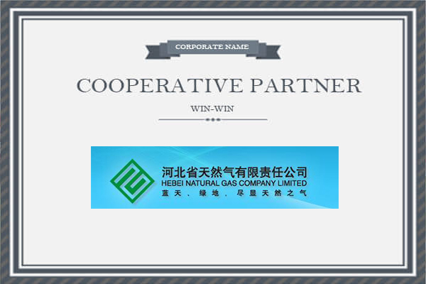 �ӱ�ʡ��Ȼ���������ι�˾