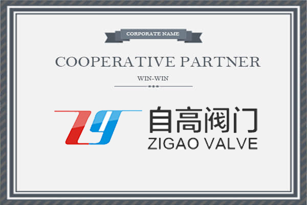 �Թ��Ը߷������޹�˾