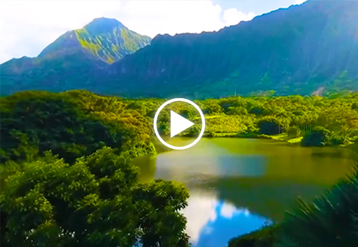 ����˹886699��Դ����Ƭ