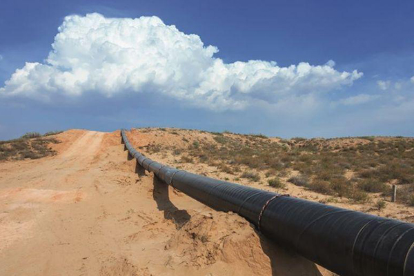 ����˹(886699-WNS��֤)���޹�˾����