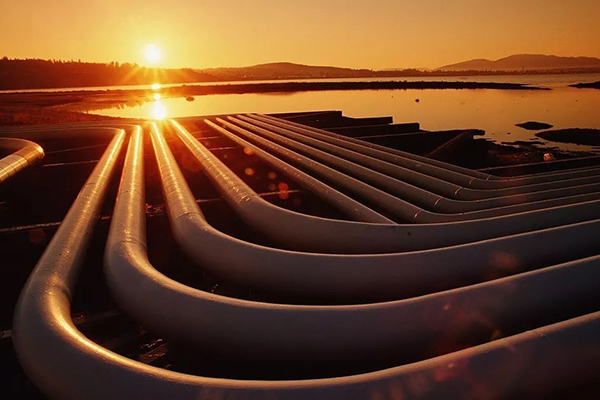 ����˹(886699-WNS��֤)���޹�˾����