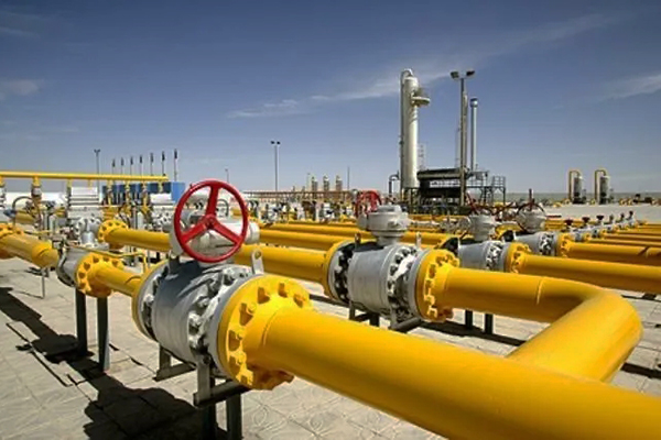 ����˹(886699-WNS��֤)���޹�˾����