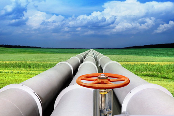 ����˹(886699-WNS��֤)���޹�˾����