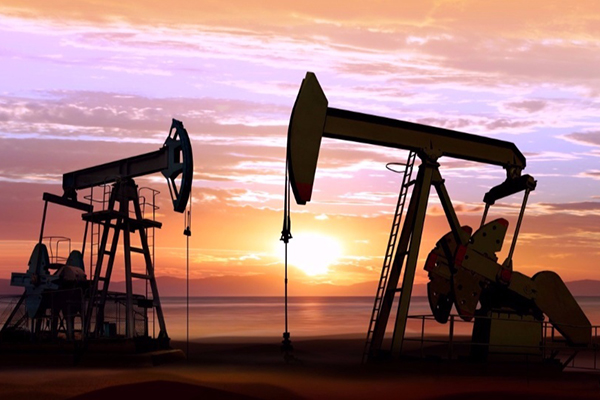 ����˹(886699-WNS��֤)���޹�˾����