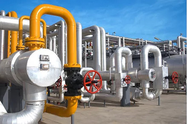 ����˹(886699-WNS��֤)���޹�˾����