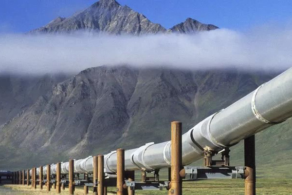 ����˹(886699-WNS��֤)���޹�˾����