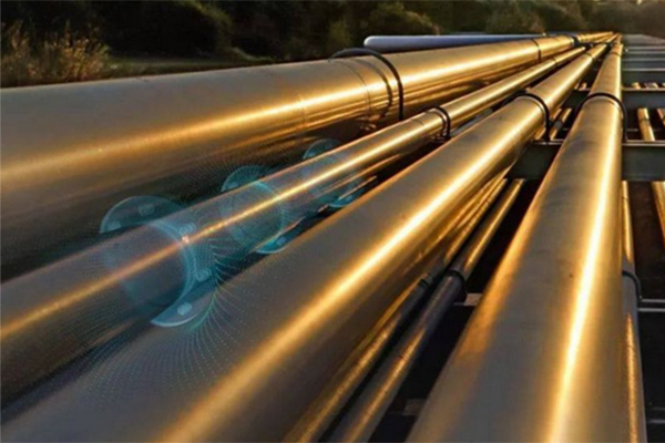 ����˹(886699-WNS��֤)���޹�˾����