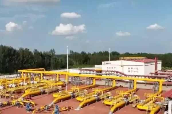 ����˹(886699-WNS��֤)���޹�˾����