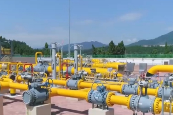 ����˹(886699-WNS��֤)���޹�˾����