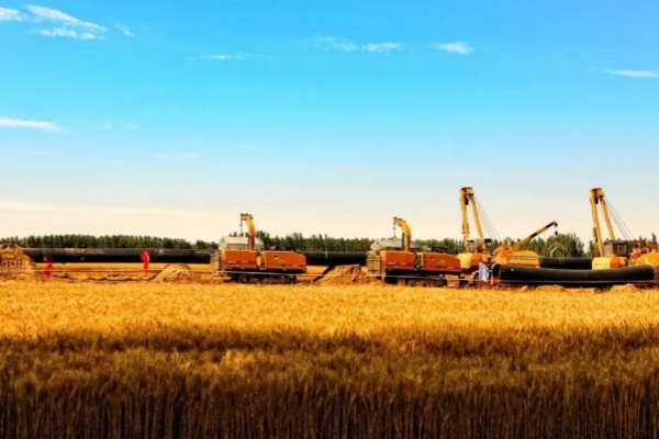 ����˹(886699-WNS��֤)���޹�˾����