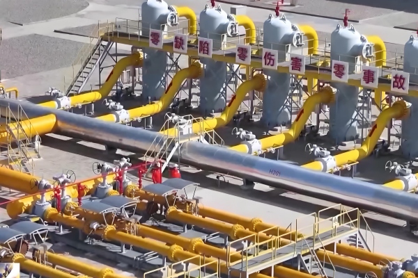 ����˹(886699-WNS��֤)���޹�˾����