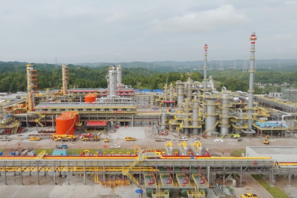 ����˹(886699-WNS��֤)���޹�˾����