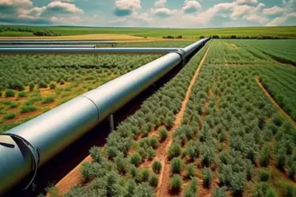 ����˹(886699-WNS��֤)���޹�˾����