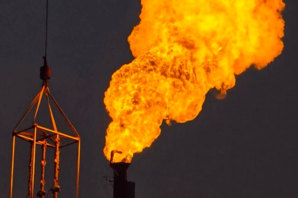 ����˹(886699-WNS��֤)���޹�˾����