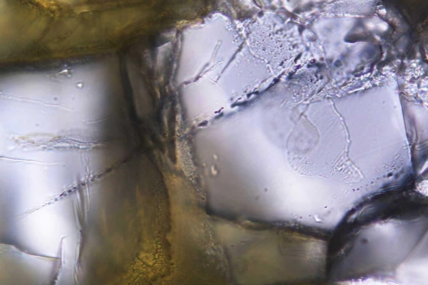 ����˹(886699-WNS��֤)���޹�˾����